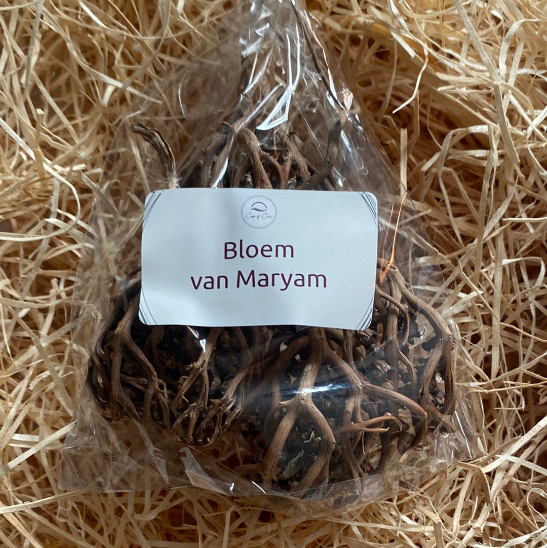Bloem van Maryam