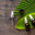 Cup of Care logo
